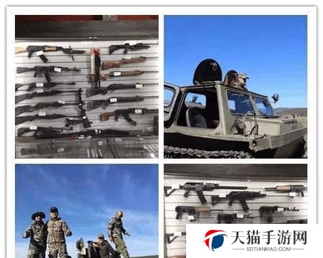 命运2（掌握技巧，化敌为友）