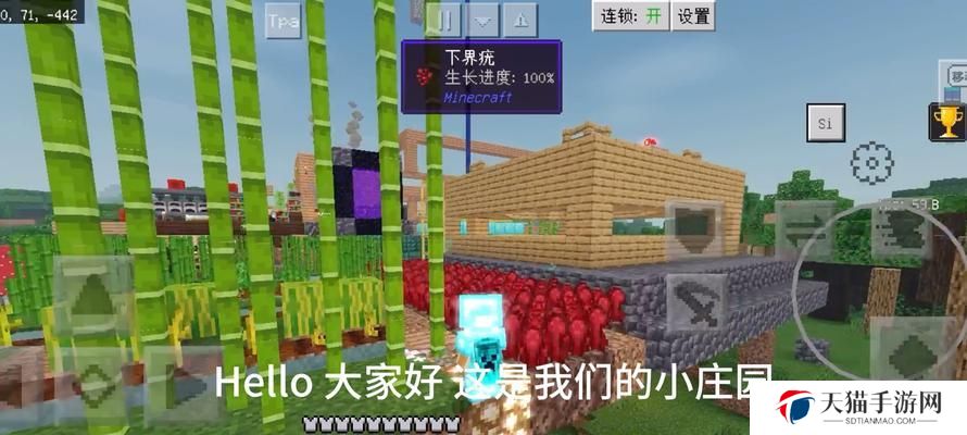 如何采集《我的世界》下界疣？（学会下界疣的获取方法，提高你的游戏玩法！）