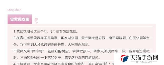 漫游神秘岛攻略百度指南（探索未知的度假天堂，百度助你畅玩神秘岛）