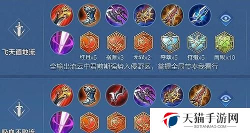 云中君出装攻略（一文教你掌握云中君的出装技巧，成为无敌的战场主宰！）