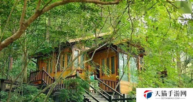 《逃离丛林木屋的绝密攻略》（揭秘丛林木屋逃生技巧，助你重返文明世界！）