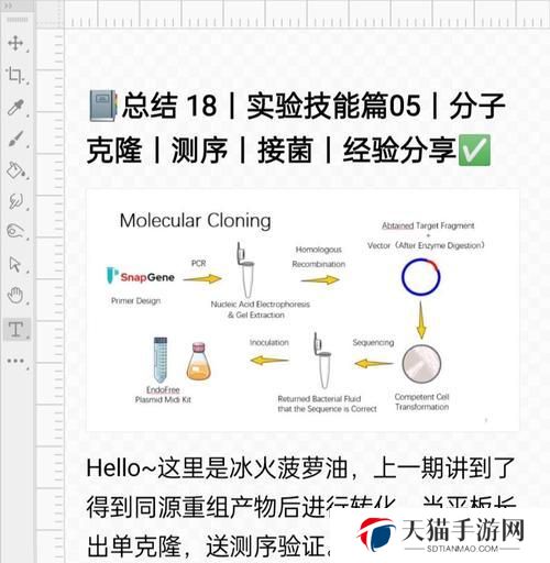 克隆装备技能选择攻略（充分利用克隆技能，打造最强装备）