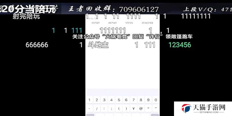 《小鹿陪玩技能升级攻略》（提升游戏技能，享受陪玩乐趣）